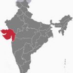 2002 Gujarat riots: SC grants bail to 14 convicts in Sardarpura massacre case