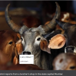 India’s Maharashtra state bans beef