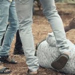 Rights activists ask Hemant govt to crack down on lynching