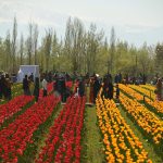 India prioritizes tourism over COVID-19 concerns in Kashmir