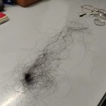 Sikh Alleges Assault & Communal Slur by UP Police, Inquiry Ordered