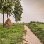 8-year-old Dalit girl found dead in field, strangled to death with her ‘salwar’; locals allege rape