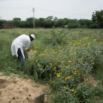 4 Years After Muslim Teen’s Murder, A Family Keeps Faith In Slow Wheels Of Justice