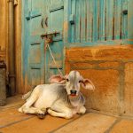 The politics of religious hatemongering in India