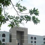 Gujarat High Court Stays Sections of New Anti-Conversion Law