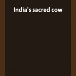 India’s sacred cow