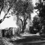 Missing 4-year-old Dalit girl found dead in Aligarh; kin alleges sexual assault & murder