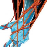 Why is the government going after NGOs?