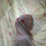 ‘They Are Manufacturing Foreigners’: How India Disenfranchises Muslims