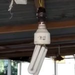 Tripura Mosques, Muslim Houses Vandalised Over Bangladeshi Violence