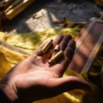 Northern Indian Muslim dairy farmers live in fear as ‘gaurakshaks’ apply for gun licences: Report (Deccan Herald)