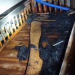 BJP-led Tripura govt ignored warnings, failed to act to check violence against Muslims: Fact-finding report