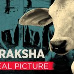 The Quint’s Investigation Reveals the Cow Protection Law Has Failed in Haryana