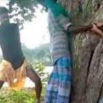 18-year-old dalit boy tied up, beaten up