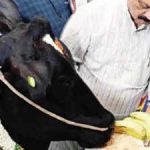 After anti-conversion bill, Karnataka CM Basavaraj Bommai continues strong Hindutva push