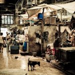 Officials Question Absence of Order as South Delhi Mayor Announces Meat Ban for Navratri