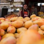 After hijab, halal, mangoes ripe for communal tension in Karnataka