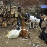 Seeking ban on halal certification, Hindutva groups target IRCTC and Air India