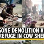 ‘Nowhere to Go’: 4 Families Take Shelter in Cowshed After Khargone Demolition