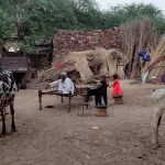 Violent raids by cow vigilantes grip Haryana’s Muslim villages