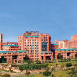 Sharda University Suspends Prof for Question on Whether Fascism and Hindutva Have Similarities