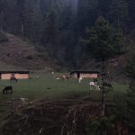 “Saffronizing Jhelum through Chenab across Pir Panjal”: BJP benefits from delimitation in J&K