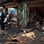 Delhi Riots 2020: HC Seeks Police Stand On Bail Plea By Shifa-ur-Rehman