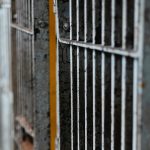 TheWire : Deaths of Four Muslim Men in One Week in the Same Jail Is ‘a Coincidence’, Claim WB Police