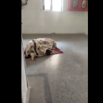 ‘Woman Offering Namaz at Hospital Not Crime,’ Says UP Police; Authorities Announce ‘Probe’ Anyway (The Wire)