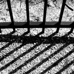 In Jaipur central jail, Muslim prisoners allege assault by officials and other convicts over namaz ( Scroll)