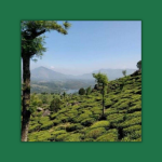 Extremists in India seriously injure pastor in ambush ( The Alabama Baptist )