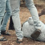 Gujarat: Four people detained for beating up Dalit youth in Vadodara ( Sabrang )