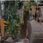 Watch: Bulldozer in Delhi Again | PWD Demolishes Mazar Citing Illegal Construction (The Wire)