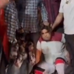 Cow vigilantes assault two truck drivers for transporting cattle