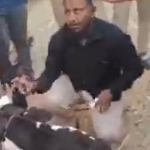 Cow Vigilantes brutalise a Muslim man in Latur