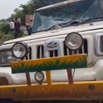 Cow vigilantes assault a driver for transporting cattle in Maharashtra