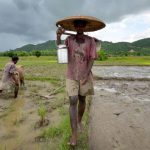 Why Assam’s farmers are furious at Himanta Biswa Sarma’s ‘fertiliser jihad’ jibe (Scroll)