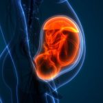 ‘Garbha Sanskar’: RSS body to encourage women to read Gita, Ramayana for birth of ‘sanskari, deshbhakt’ babies (Deccan Herald)