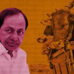 Cow protection vigilantes thrive under BRS rule in Telangana (The News Minute)
