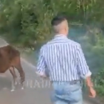 Hindu far-right members assaulted a Muslim cattle trader in Shahpur