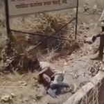 Hindu extremists thrashed a Muslim youth for uploading status hailing Aurangzeb, Tipu Sultan in Kholapur