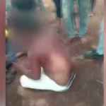 Two Muslim men beaten over suspicion of cattle slaughter
