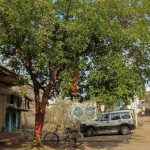 Christian educator in India accused of human trafficking ( The Baptist Paper)