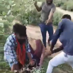 Cow vigilantes thrash Muslim man over suspicion of trading cattle