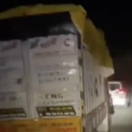 Cow vigilantes thrashed two men for transporting bulls