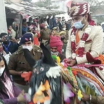 Three accused of assaulting Dalit groom for riding horse in Gandhinagar get bail (Indian Express)