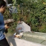 Hindu extremists demolish another shrine with sledgehammers in Dehradun