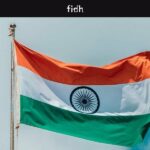 India: Call for the immediate release of Irfan Mehraj (FIDH)