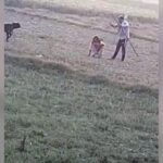 Dalit Woman, 60, Brutally Beaten In UP After Her Goat Enters A Field (NDTV)