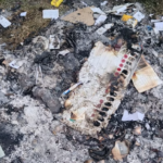 Manipur Violence | EC Orders Repoll in 11 Stations but so Does Arambai Tenggol (The Quint)